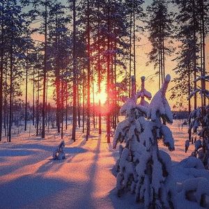 把女人按在地上猛c的视频网站
